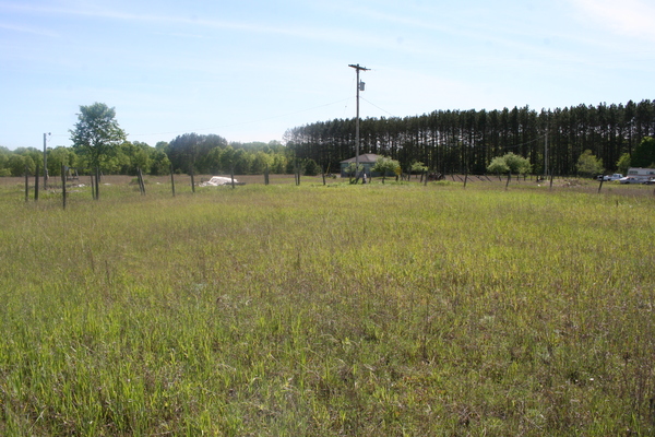 Lot 2428