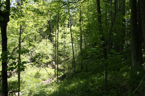 Lot 2430
