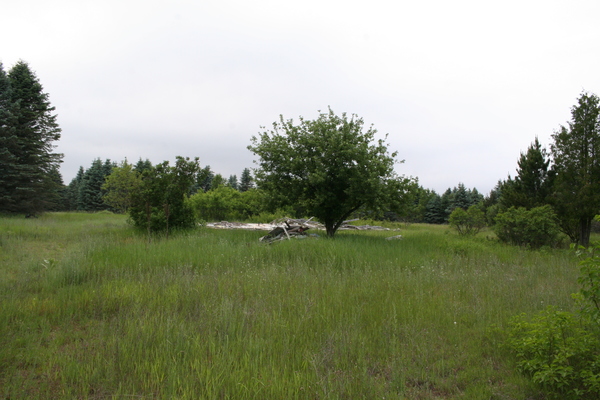 Lot 2432