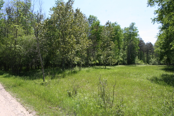 Lot 2435