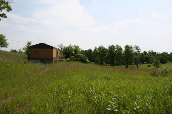 Lot 2437
