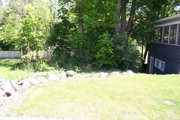 Lot 2447