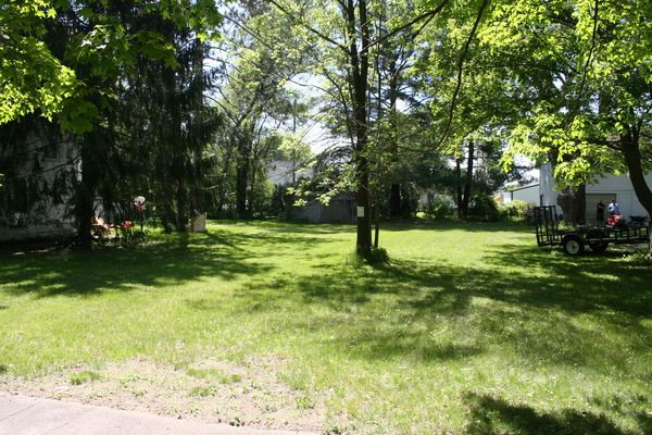 Lot 2449