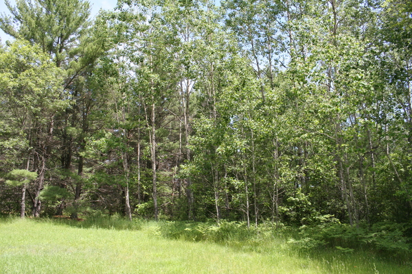 Lot 1502
