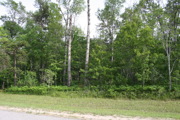 Lot 1504