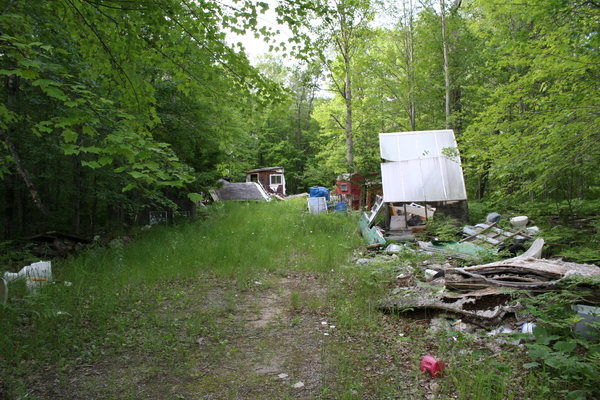 Lot 1505