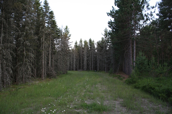 Lot 1508