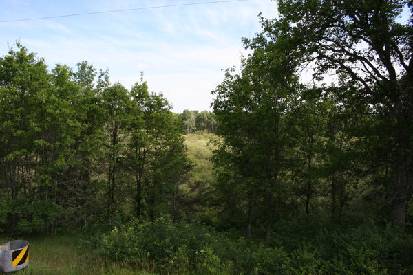 Lot 1533
