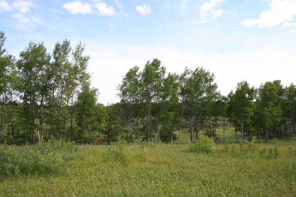 Lot 1534