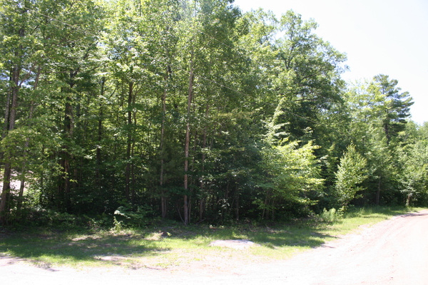 Lot 3900