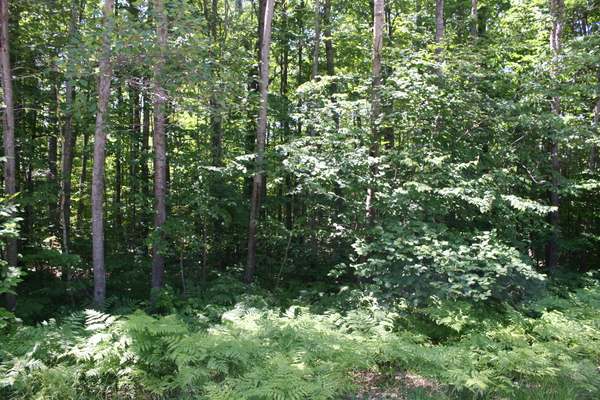 Lot 3903