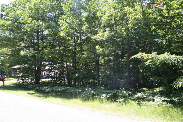 Lot 3905
