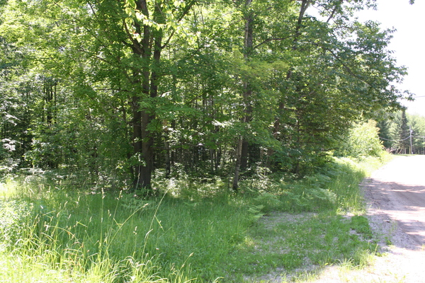 Lot 3909