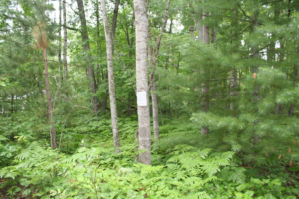Lot 3912