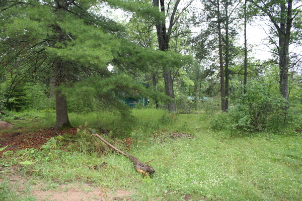 Lot 3917