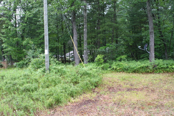 Lot 3918