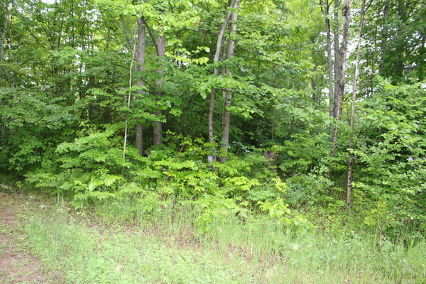 Lot 3922