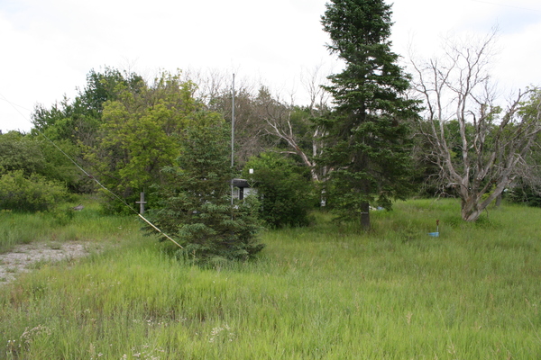 Lot 3925