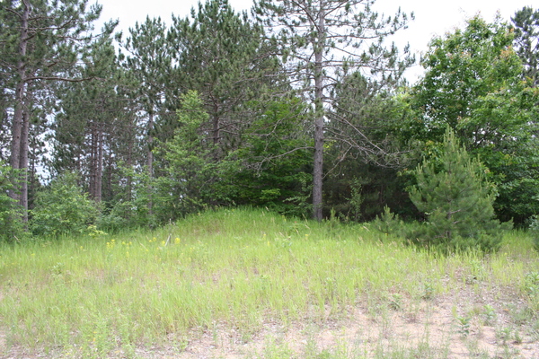 Lot 3926