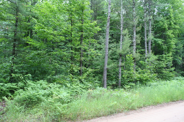 Lot 3931