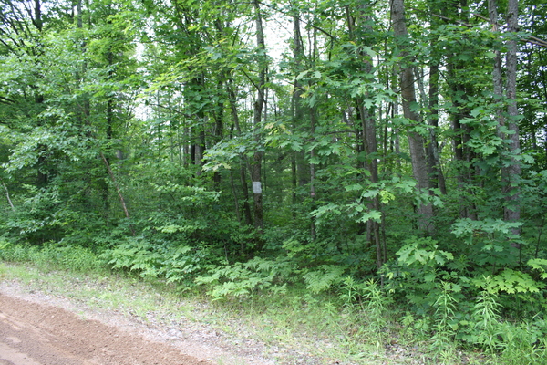 Lot 3934