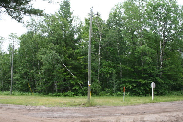 Lot 3935