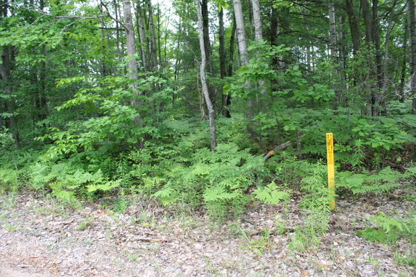 Lot 3939
