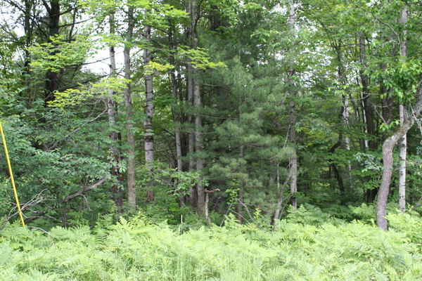 Lot 3943