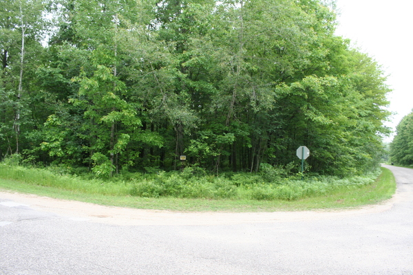 Lot 3945