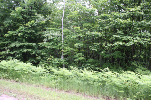 Lot 3947