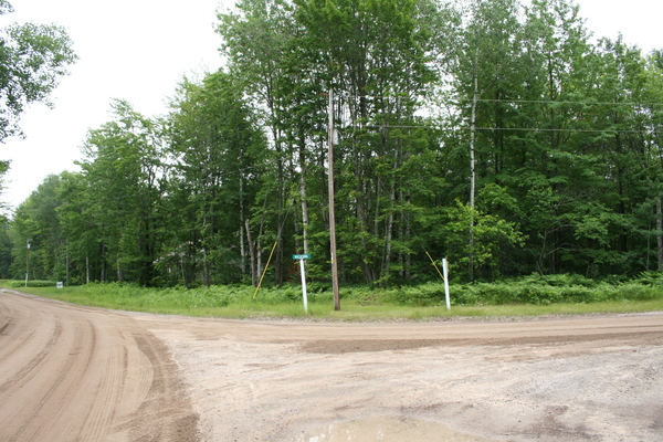 Lot 3952