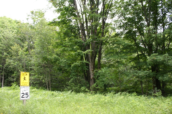 Lot 3953
