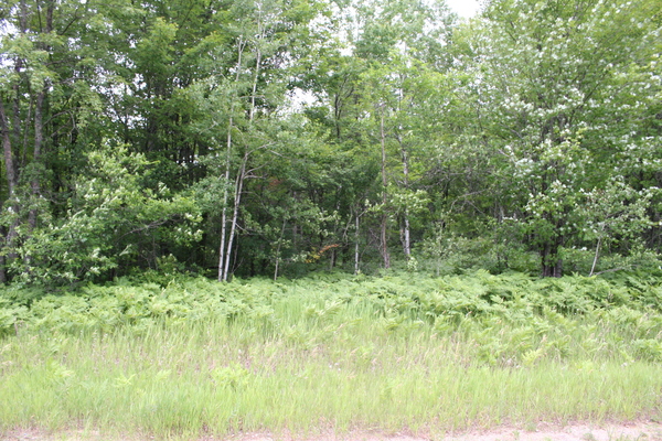 Lot 3957