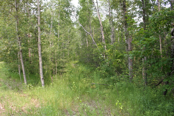 Lot 3963