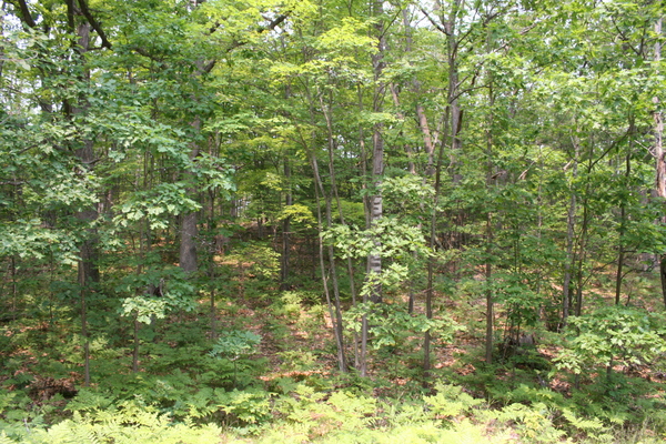 Lot 3967