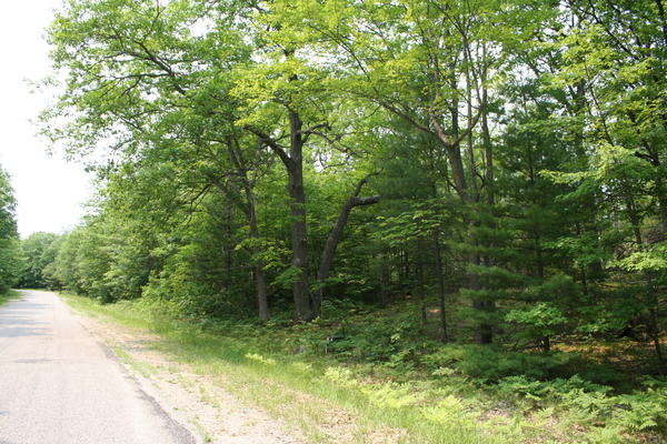 Lot 3968