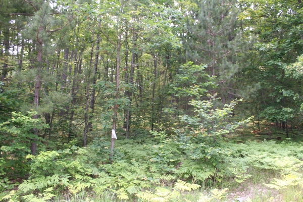 Lot 3973