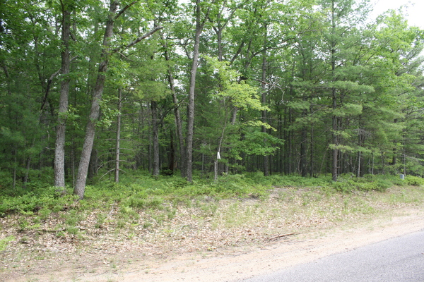 Lot 3975
