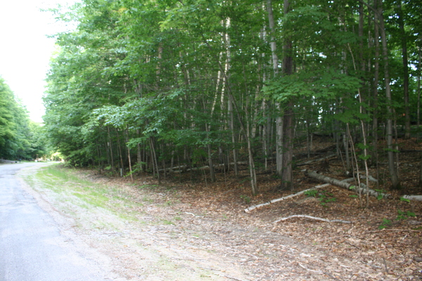 Lot 3978