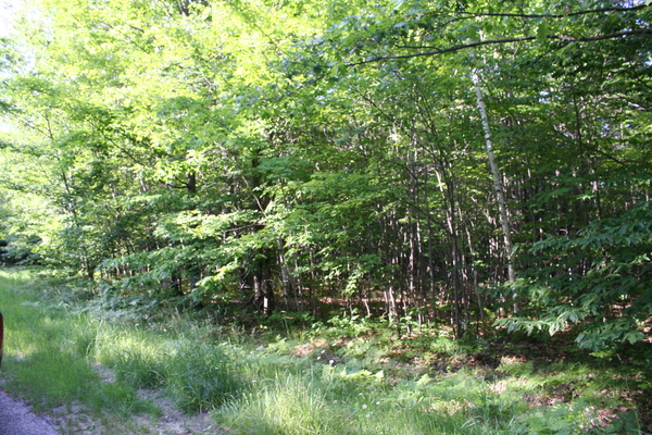 Lot 3984