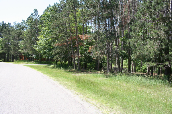 Lot 3987