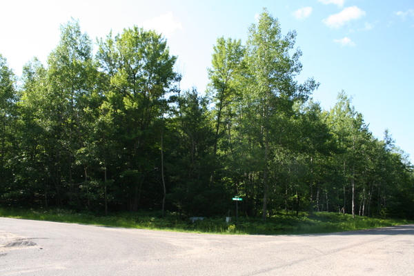 Lot 3993