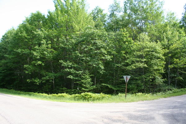 Lot 3994