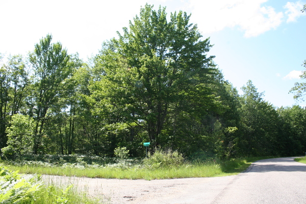 Lot 3995