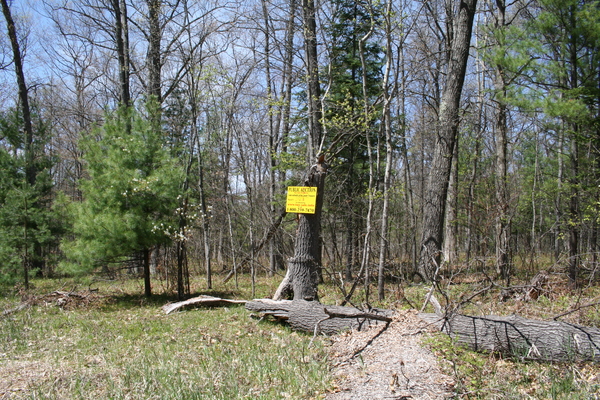 Lot 3723