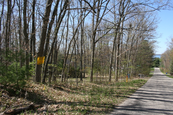 Lot 3746