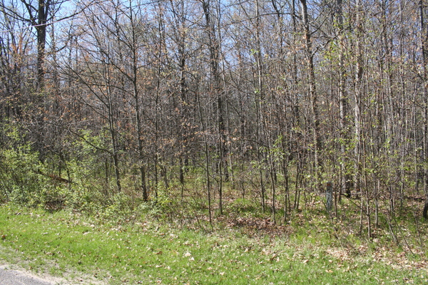 Lot 3759