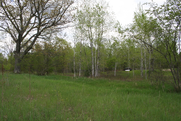 Lot 3791