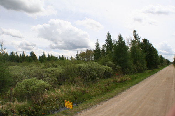 Lot 3799