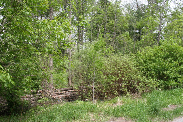 Lot 3811